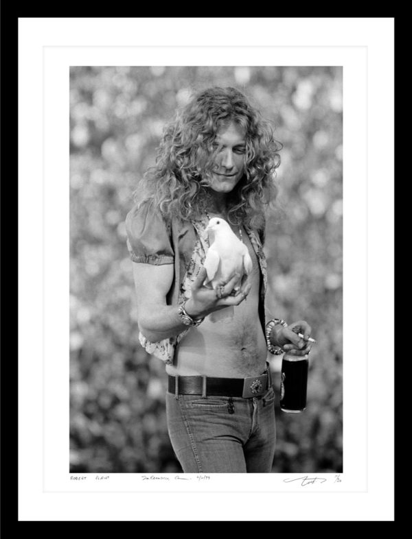 Robert Plant San Francisco 1973