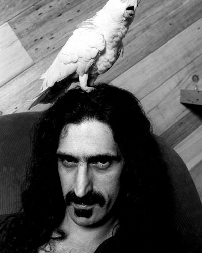 Frank Zappa, Hollywood, 1979